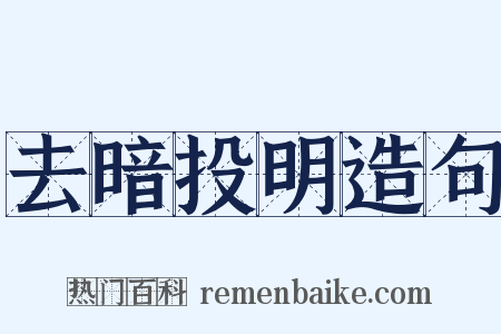 去暗投明造句是什么意思的图片